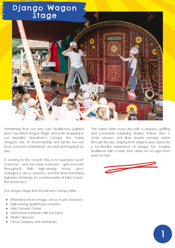 Flying Seagull Project