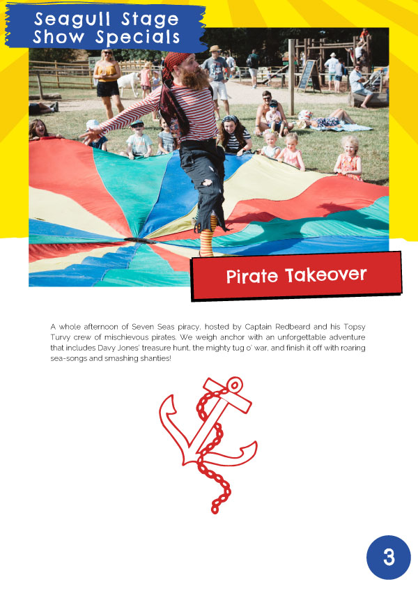 Flying Seagull Project