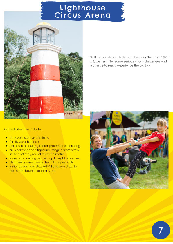 Flying Seagull Project