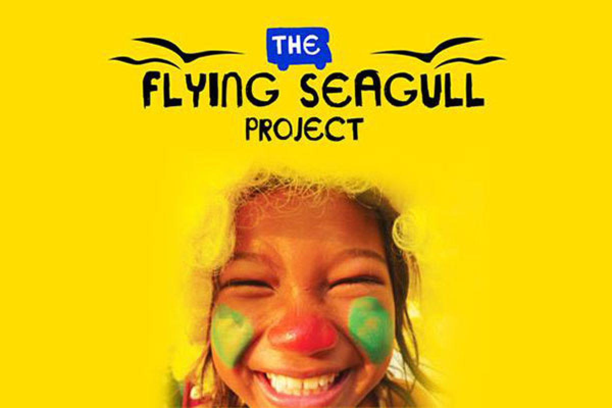 Flying Seagull Project